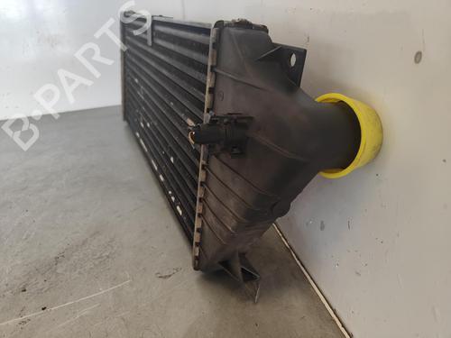 Intercooler MERCEDES-BENZ M-CLASS (W163) ML 270 CDI (163.113) | BP15670980M30 