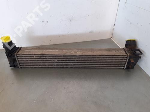 Used Intercooler RENAULT MEGANE III Hatchback (BZ0/1_, B3_) [2008-2025]  7905816