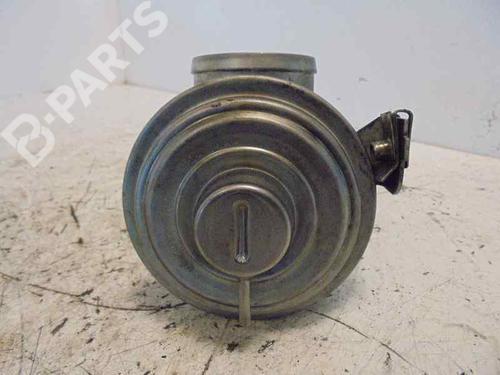 Egr BMW 3 (E46)  | BP5330021M69 