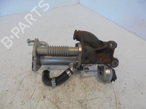 Egr DACIA SANDERO  | BP14187463M69