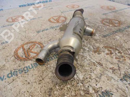 Egr PEUGEOT 406 (8B)  | BP2467456M69 