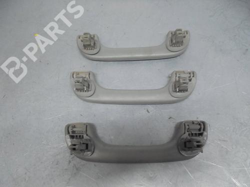 Interior roof NISSAN PRIMASTAR Van (X83) 1.9 dCi 100 | BP2475434I12 