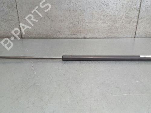 Used Hood lift support VW NEW BEETLE (9C1, 1C1) 2.0 (115 hp) 13973727