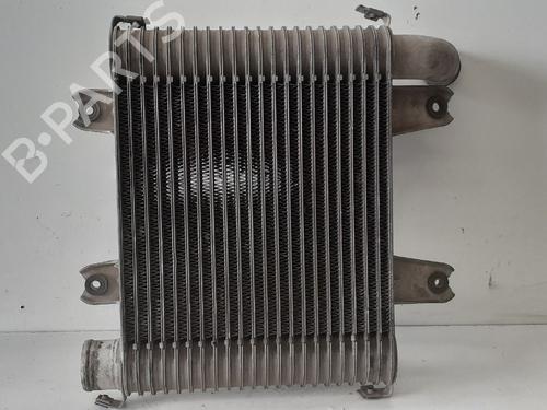Intercooler KIA CARNIVAL II (GQ) 2.9 CRDi | BP12700247M30 