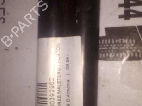 Tailgate lift support CITROËN ZX (N2) 1.9 D | BP13984884C138 