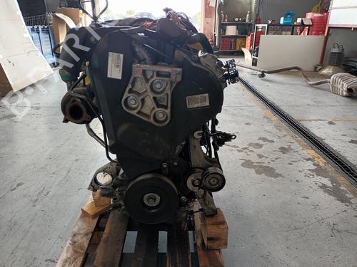 Used Engine RENAULT MEGANE II Coupé-Cabriolet (EM0/1_) [2003-2010]  21045202