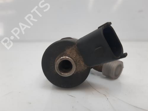 Injector BMW X5 (E53) 3.0 d | BP18960562M100 