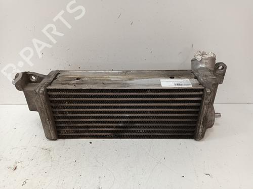 BP17916204M30 | Intercooler HONDA ACCORD VI (CK, CG, CH, CF) 2.0 Turbo DI (CH2) BP17916204M30