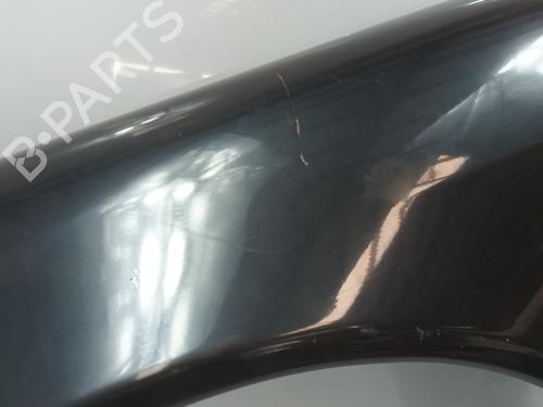 Left front fenders MERCEDES-BENZ S-CLASS (W220, V220) S 320 CDI (220.026, 220.126) | BP29718485C41 