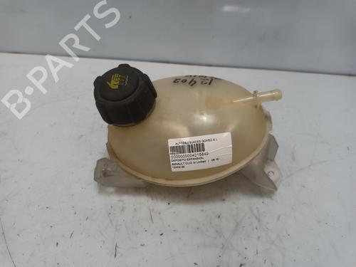 Used Expansion tank RENAULT CLIO IV (BH_) [2012-2021]  25895724