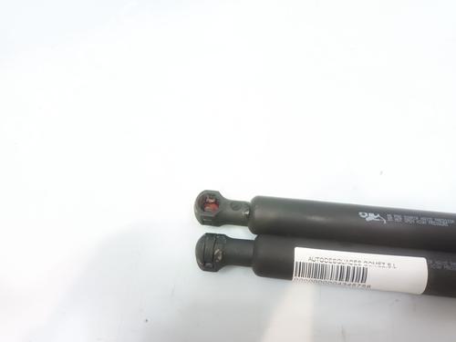 Tailgate lift support CITROËN XSARA PICASSO (N68) 1.6 16V | BP29511199C138 