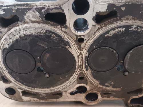 Cylinder head SEAT IBIZA III (6L1) 1.9 SDI | BP27542434M5 