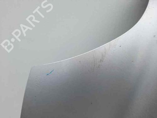 Hood HYUNDAI SANTA FÉ I (SM) 2.0 CRDi | BP12688943C1 