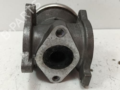 Egr SEAT IBIZA III (6L1)  | BP15484223M69 