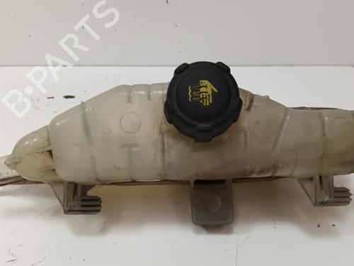 Expansion tank RENAULT CLIO III (BR0/1, CR0/1) 1.5 dCi (C/BR0G, C/BR1G) | BP14847095C120 