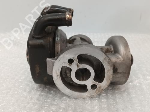 Used Oil radiator CITROËN JUMPER I Bus (244, Z_) [2002-2025]  29124577