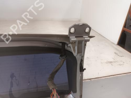 Tailgate MERCEDES-BENZ M-CLASS (W163) ML 320 (163.154) | BP20214422C6 