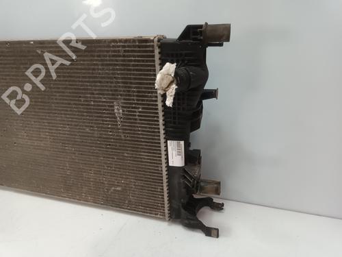 Køler RENAULT SCÉNIC III (JZ0/1_)  | BP25917625M31 