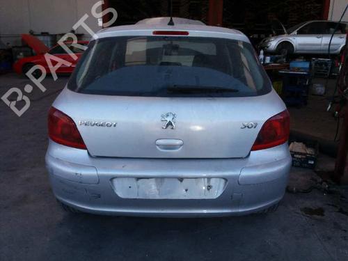 Eksosanlegg PEUGEOT 307 (3A/C) 2.0 HDi 110 | BP13969886M121 