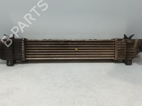 Intercooler MERCEDES-BENZ S-CLASS (W220, V220) S 320 CDI (220.026, 220.126) | BP29925989M30 