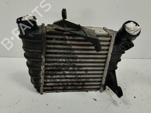 BP15959886M30 | Intercooler SEAT IBIZA III (6L1) 1.4 TDI BP15959886M30