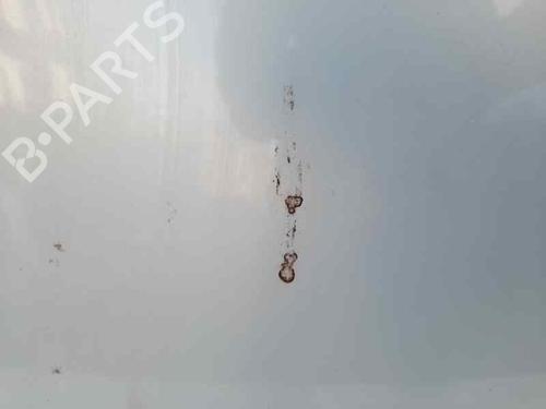 Hood RENAULT MEGANE II (BM0/1_, CM0/1_) 1.5 dCi (BM0F, BM0T, BM2B, CM0F, CM0T) | BP12688968C1 