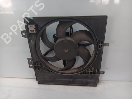 Radiator fan PEUGEOT 207 (WA_, WC_)  | BP28213045M35 
