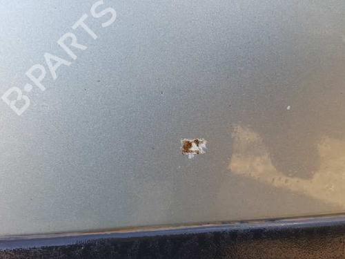 Right front door SKODA OCTAVIA I (1U2) 1.9 TDI | BP12800866C3 