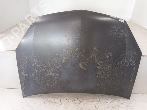 Used Hood OPEL SIGNUM Hatchback (Z03) 1.9 CDTI (F48) (150 hp) 20137686