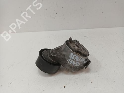 Other CITROËN BERLINGO MULTISPACE (B9) 1.6 HDi 75 16V | BP17499450O1