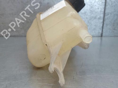 Expansion tank RENAULT CLIO III (BR0/1, CR0/1) 1.2 16V (BR0R, BR1D, BR1L, CR0R) | BP12720566C120 