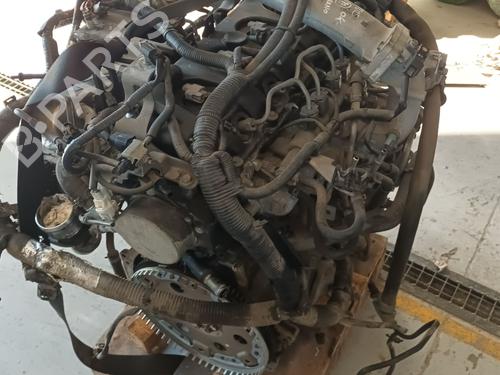 Engine NISSAN MURANO II (Z51) | BP33185282M1 - Image 4