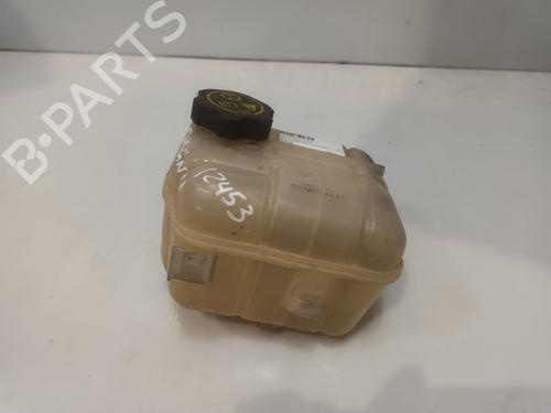 Used Expansion tank OPEL INSIGNIA A (G09) 2.0 CDTI (68) (120 hp) 30759313