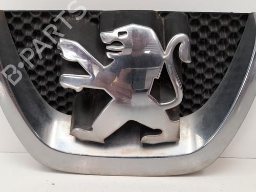 Grilles de calandre PEUGEOT 207 (WA_, WC_) 1.4 BiFuel (73 hp) 12776460