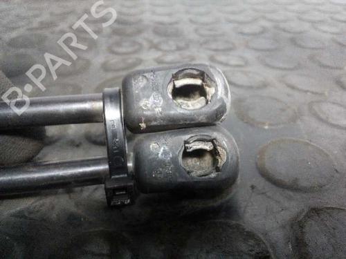 Tailgate lift support CHEVROLET AVEO / KALOS Hatchback (T200) 1.4 | BP13988318C138 