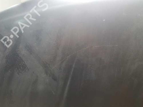 Hood TATA SAFARI (42_FD)  | BP12853641C1 