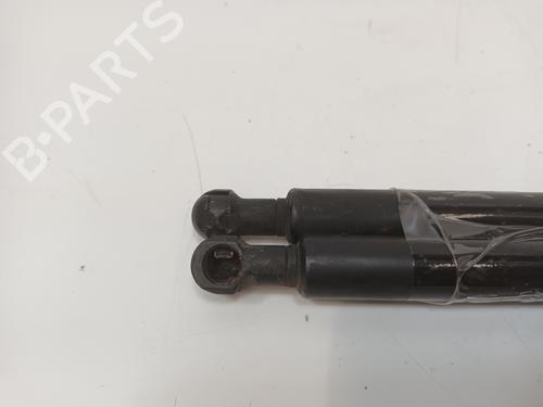 Hood lift support CITROËN XSARA (N1) 1.9 D | BP17333321C139 