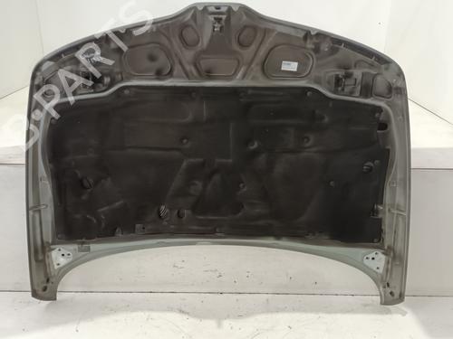 Hood RENAULT LAGUNA I (B56_, 556_)  | BP17743108C1 