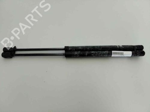 Used Tailgate lift support RENAULT CLIO II (BB_, CB_) 1.9 D (B/CB0E, BB0J) (64 hp) 32031719