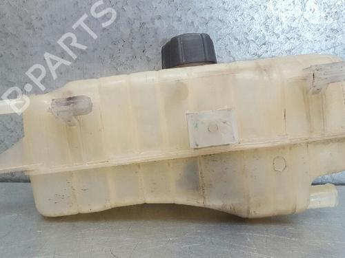 Vase D'Expansion RENAULT CLIO III (BR0/1, CR0/1) 1.2 16V (BR0R, BR1D, BR1L, CR0R) (65 hp) 12720566