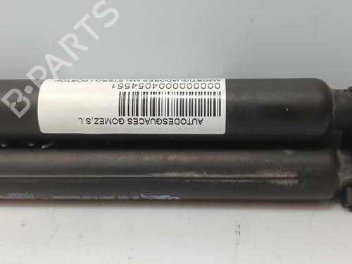 Tailgate lift support PEUGEOT 208 I (CA_, CC_)  | BP20657596C138