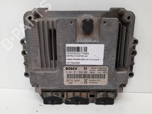 Used Engine control unit (ECU) NISSAN PRIMERA (P12) 1.9 dCi (120 hp) 12776936