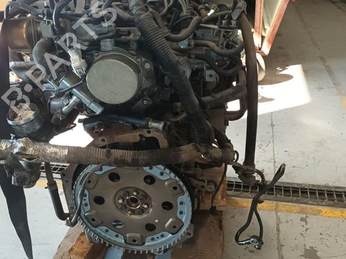 Engine NISSAN MURANO II (Z51) | BP33185282M1 - Image 5