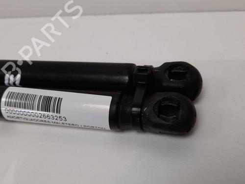 Tailgate lift support RENAULT MEGANE III Grandtour (KZ0/1)  | BP13979175C138 