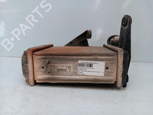 Intercooler SEAT CORDOBA (6L2) 1.9 TDI | BP27982025M30 
