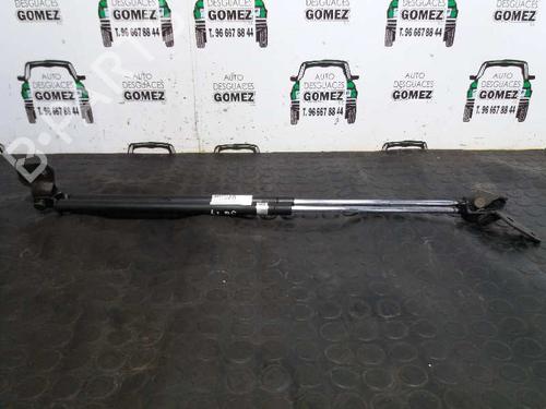 Used Tailgate lift support MAZDA DEMIO (DW) 1.3 16V (DW3W, DW19) (63 hp) 13968125