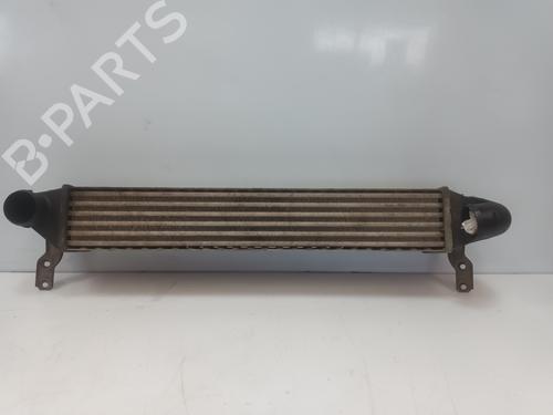 Intercooler Intercooler FORD GALAXY I (WGR) 1.9 TDI (115 hp) 36019122 36019122