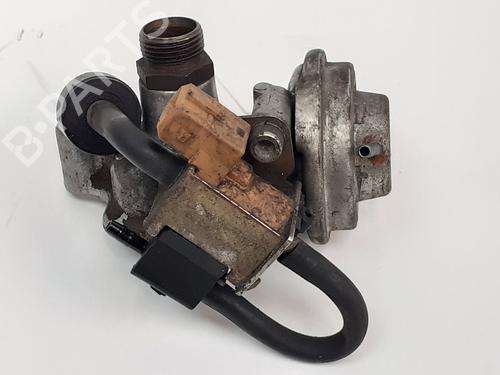 Egr MERCEDES-BENZ M-CLASS (W163) ML 320 (163.154) | BP12743185M69 