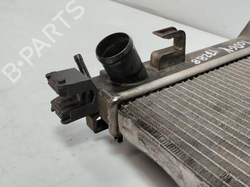 Water radiator DACIA LODGY (JS_) | BP32306005M31 - Image 2