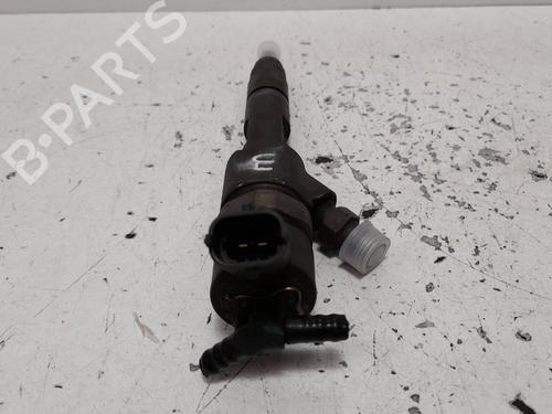 Used Injector RENAULT MEGANE II (BM0/1_, CM0/1_) 1.9 dCi (131 hp) 21148178